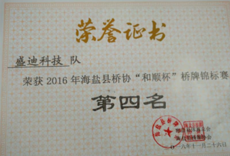 2016 Haiyan Bridge Association 